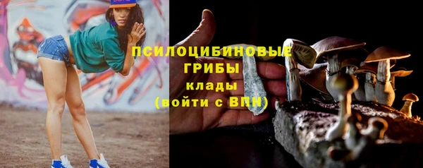 mix Аркадак