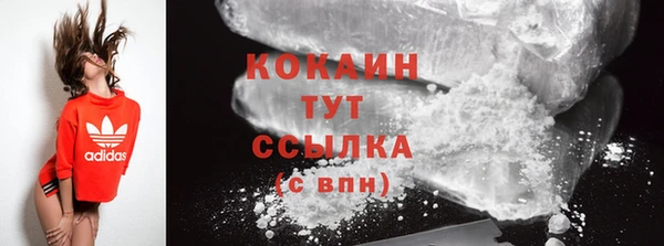 ешки Арсеньев
